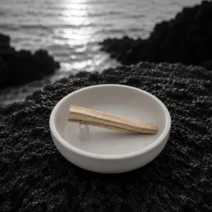 Palo Santo Holder